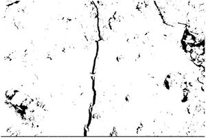 Appearance of the fissure after image cleaning.