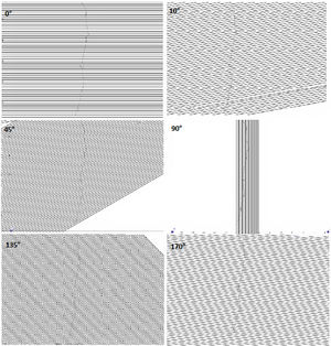 Superposition of the family of straight lines with orientations of 0°, 10°, 45°, 90°, 135°, and 170° on the skeleton of microcrack 1.