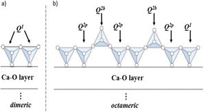 Schematic diagram of silicate chain. (a) Dimeric and (b) octameric.