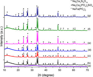 XRD diffractograms of bioglass powders heat-treated at 900°C for 1h, (a) BG0, (b) BG-0.1%Ta and (c) BG-0.5%Ta. Sintered bioglass scaffolds, (d) SBG0, (e) SBG-0.1%Ta and (f) SBG-0.5%Ta.