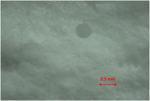 Morphology of fractured glass-ceramic surface.