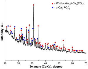 XRD for the TCP sample, after thermal treatment at 1200°C for 2h.