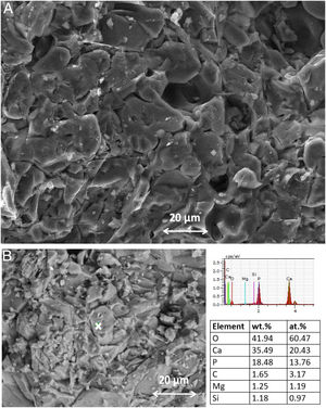 SEM–EDX of fractured surface of the annealed at 1200°C sample.
