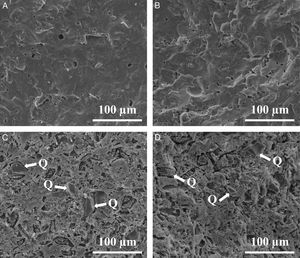 SEM micrographs of samples fired at the maximum density. (a) and (b) Represent as-fractured cross section for STD and A bodies and (c) and (d) the same cross-sections after being attacked with hydrofluoric acid for STD and A bodies (quartz marked by Q).