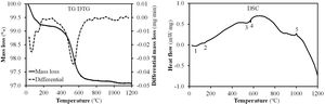 Simultaneous thermal analysis (TG/DTG-DSC) for Afyon clay sample. Relevant peaks are marked by numbers.