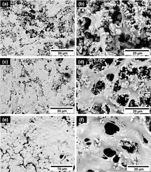 SEM micrographs of the fibroblasts–cement interaction after 3 days (a and b), 7 days (c and d), and 14 days of culture (e and f).