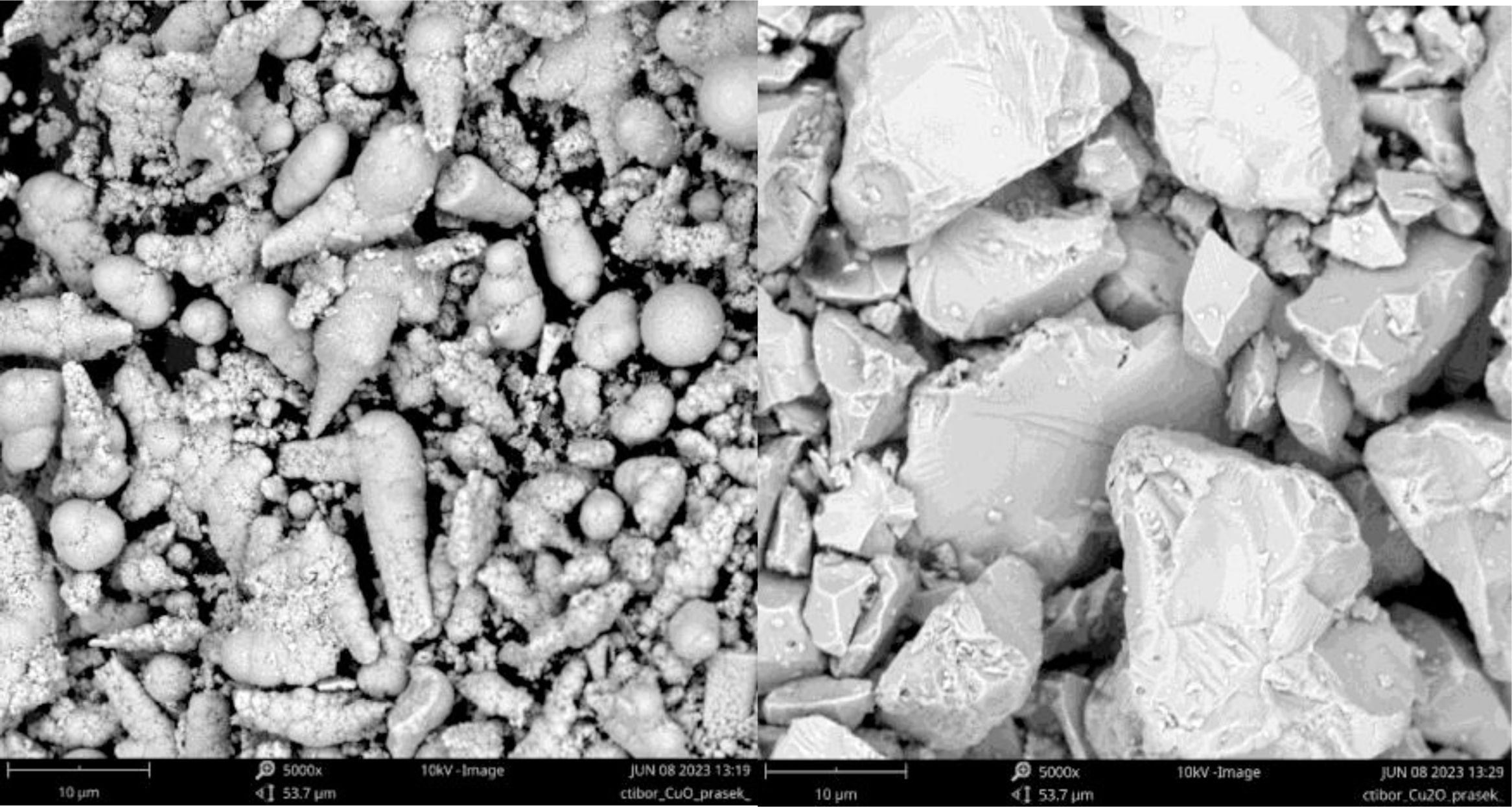 Copper oxides CuO and Cu2O processed by spark plasma sintering ...