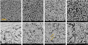 SEM micrographs – top: CuO-700, CuO-750, CuO-800, CuO-850; bottom Cu2O-700, Cu2O-750, Cu2O-800, Cu2O-850; scale bar always 8μm.