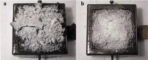 Residues obtained after smoke chamber test for (a) EPDMREF and (b) EPDM_5SEPTB formulations.