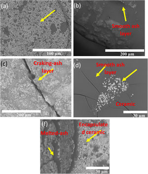 SEM analysis of the 7YSZ ceramic after 4 cycles thermal treatment at 1350°C of temperature with B volcanic ash.
