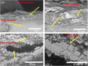 SEM analysis in cross-section view of the “A” coupon after 8 cycles thermal treatment at 1350°C of temperature: (a) melted ash-7YSZ ceramic, (b) close-up from (a), (c) “Hole” formation and (d) close-up view from (c) embedded 7YSZ grains by melted ashes.