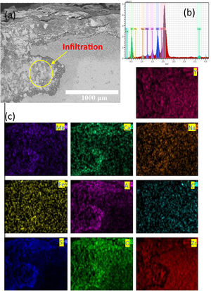 (a) SEM analysis in cross-section view of “A” coupon after thermal treatment at 1350°C of temperature, (b) EDS spectrum analysis and (c) EDS mapping image respectively.