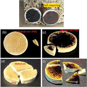 Images of 7YSZ ceramics with deposit of ashes: (a) A and B respectively cero cycles treatment at 1350°C. (b) A and (c) B Dimensional size image of ceramics with melted ashes deposit after four cycles at 1350 respectively, and (d) A and (f) B ash-coupon ensemble respectively after eight cycles of treatment at 1350°C.