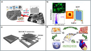 (a) Novel lead-free biocompatible piezoelectric HA–BCZT nanocrystal composites for accelerated bone regeneration [138]; (b) BCZT 45 coatings on Kapton polymer substrates provide optimal support for osteogenic differentiation of mesenchymal stem cells in the bone marrow [128]; (c) simple schematics of device structures fabricated with BZT–BCT nanowires [145]; (d) schematics describing the comprehensive biocompatibility of high-performance lead-free flexible energy harvester [145].