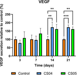 Assessment of angiogenic potential. VEGF secretion in the supernatants of cells cultured on 2D control or scaffolds CS04 and CS05.