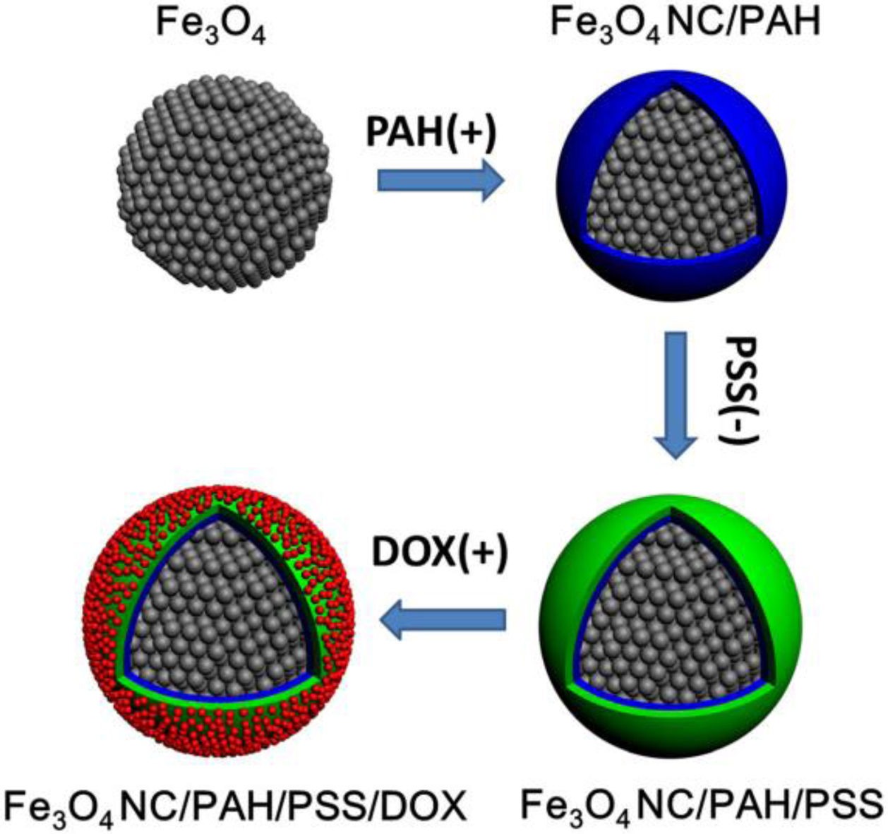 A mini-review of functionalized magnetic Fe3O4 nanoparticles: From ...