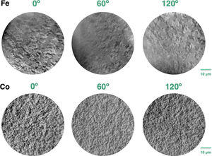 Top: XMCD-PEEM images of the Co/BFO structure for 0°, 60° and 120° azimuthal angles obtained at the Fe L3 edge at a photon energy of 709.4eV. Bottom: Corresponding XMCD-PEEM images obtained at the Co L3 edge at a photon energy of 778.5eV.