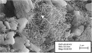 SEM images of primary and secondary mullite formation.