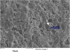 SEM images of quartz formation with marking of spectrum 2.