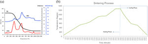 (a) DSC curve of raw material. (b) Sintering process.