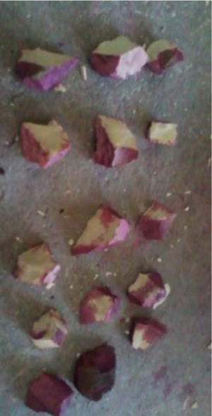 Samples used for density and porosity calculation.