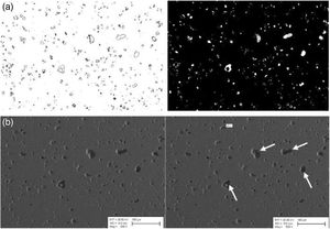 (a) Images used in porosity calculation (Sample 1). (b) Marked porosities.