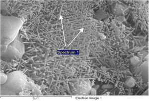 SEM images of primary and secondary mullite formation with marking of spectrum 1.
