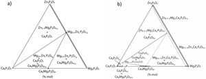 Schematic representation of solid-state compatibilities in the Ca2P2O7–Mg2P2O7–Zn2P2O7 system. (a) without solid solutions (a) with solid solutions. In both figures the complete solid solution between Mg2P2O7–Zn2P2O7 has been considered.
