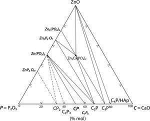 Solid state compatibilities in the CaO–P2O5–ZnO ternary system at P2O5≤50% mole stablished in the present work from experimental results [46,47], and previous literature results [48].