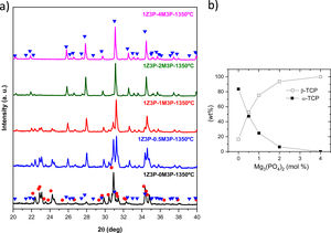 (a) XRD pattern of selected compositions of the Ca3(PO4)2–Mg3(PO4)2–Zn3(PO4)2 system (1−X (Ca3PO4)2–X Mg3(PO4)2–1 Zn3(PO4)2; X=0.0, 0.5, 1.0, 2.0, 4.0mole%) treated at 900°. (b) Quantification of α and β phases from XRD data (Rietveld analysis).