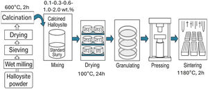 The schematic diagram of the experimental process.