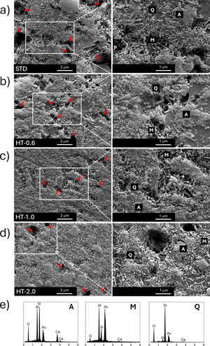 Microstructure analysis of (a) STD, (b) HT-0.6, (c) HT-1.0, (d) HT-2.0 and (e) EDX analysis of the A, M, and Q regions.