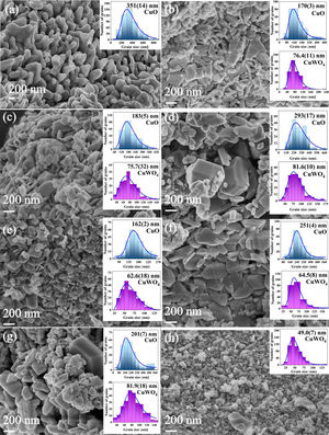 FE-SEM images of (a) CuO, (b) 100:1, (c) 100:2, (d) 100:3, (e) 100:4, (f) 100:5, and (g) 100:6 heterostructures of copper and tungsten; (h) CuWO4. Histograms of the size distribution are presented in the insets.