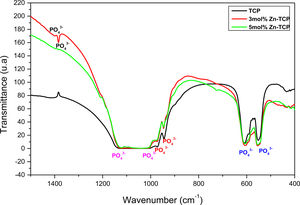 Fourier-transform infrared spectroscopic analysis of un- and zinc-doped TCP samples.