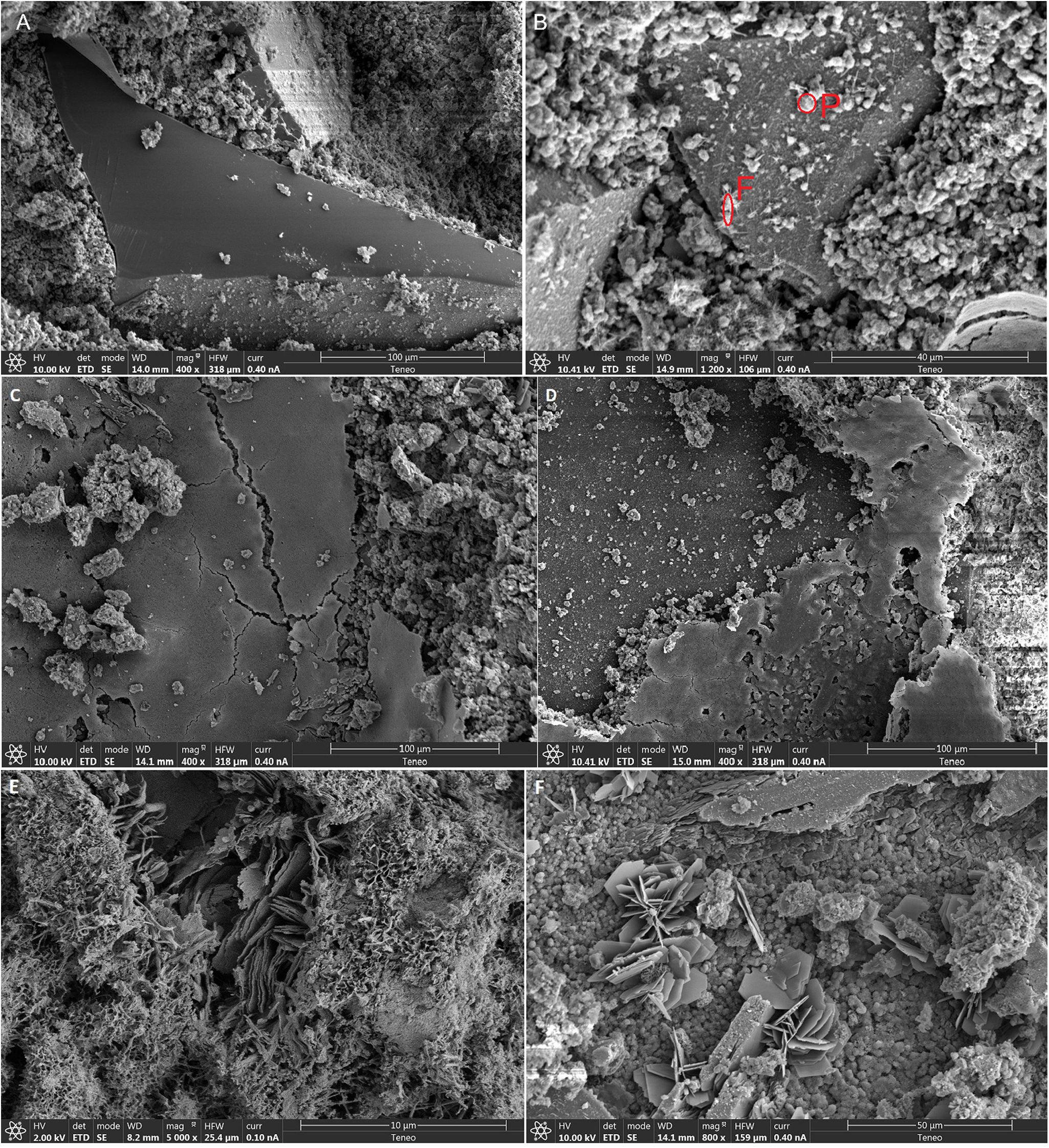 fig0020