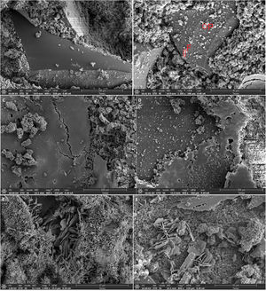 Photomicrographs of the CM25 (A, C, and E) and BM25 (B, D, and F) samples. (A, B) Image of glass grains in the binder matrix (F: filaments, P: plates); (C, D) Development of hydrated crystalline phases; (E, F) Crystallizations of newly formed portlandite and calcium silicates from the glass aggregate.