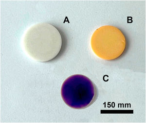 Glass coatings on alumina disks (A), zirconia 3% mol MgO disks (B) and glass doped with 1% weight of cobalt oxide on a zirconia–magnesia substrate (C). The heat treatment carried out was 775°C/4h.