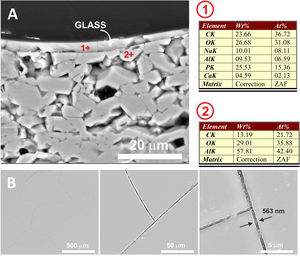 (A) FESEM observation and EDX analysis of the cross section of the glass on the alumina disc. The heat treatment performed was at 775°C/2h. (B) Surface of the coated sample at different magnifications. The presence of micro-cracks due to the stresses generated by the different coefficients of thermal expansion between the substrate and the coating can be observed.