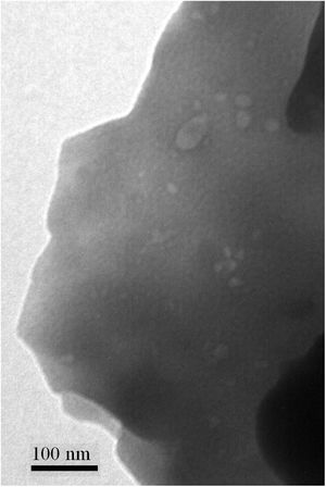 TEM image for GD showing the circle forms.