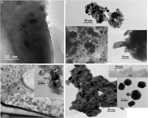 TEM images showing rounded nanoparticles and others particles with pseudo-hexagonal habit for GDA250 (a), GDA350 (b), GDA350 (c) and GDA550 (d). In addition, in Fig. 7d a well-developed martensitic structure was observed for sample GDA550.