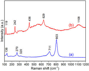 Raman spectra of WO3 (a) and ZnO (b) thin films on FTO glass substrates.
