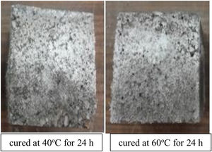 Visual appearance of geopolymer mortar specimens cured at 40°C and 60°C for 24h.