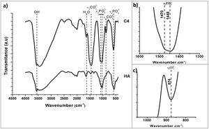 FTIR spectra of synthesized hydroxyapatite powders: unsubstituted (HA) and highest substituted CHA (C4). The characteristic bands of the functional groups of hydroxyapatite are presented, OH (3570cm−1), PO43− (550–570cm−1 for ν4 and 1020–1120cm−1 for ν3). (a) Complete, (b) v3CO3 region (1600–1300cm−1), (c) v2CO3 region (900–800cm−1) zoom in C4 spectra.