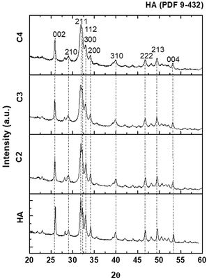 XRD diffraction patterns of the four synthesized hydroxyapatite powders. All identified peaks correspond to HA without any secondary phase.