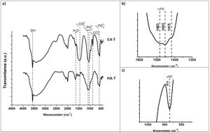 FTIR spectra of sintered hydroxyapatite specimens: unsubstituted (HA) and highest substituted HCA (C4). The characteristic bands of the functional groups of hydroxyapatite are presented, OH (3570cm−1), PO43− (550–570cm−1 for ν4 and 1020–1120cm−1 for ν3). (a) Complete, (b) v3CO3 region (1600–1300cm−1), (c) v2CO3 region (900–800cm−1) zoom in C4-T spectra.