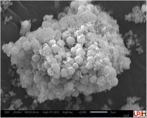 Micrografía MEB de la zeolita tipo cancrinita a 8h de reacción hidrotermal con NaOH 3M a ×3,000 aumentos.