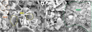 SEM image of natural zeolite showing (A) clinoptilolite (HEU), opal and (B) mordenite (MOR) crystals.