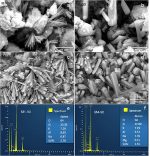 SEM Images representing the interzeolitic conversion of NZ into MER from various mixtures and reaction times: (a) M1-50, (b) M4-50, (c) M1-90, and (d) M4-90. EDX analysis of (e) M1-90 and (f) M4-90.