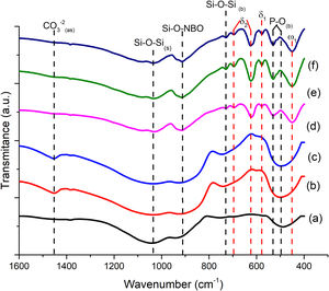 FTIR spectra for the glassy systems: (a) BG0, (b) BG-0.1%Ta, and (c) BG-0.5%Ta. Sintered bioglass scaffolds, (d) SBG0, (e) SBG-0.1%Ta and (f) SBG-0.5%Ta.