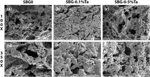SEM images of the porous structure of undoped and doped bioglass scaffolds.